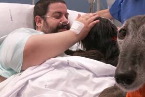 Terapia con perros para pacientes en la unidad de cuidados intensivos