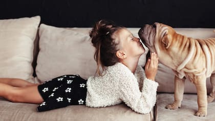 Terapias alternativas para mascotas: psicología, reiki, acupuntura y homeopatía