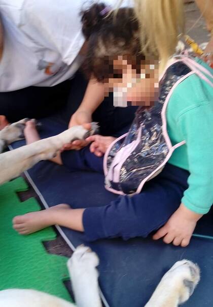 Terapistas caninas en el Hospital Sbarra