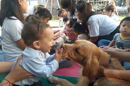 Terapistas caninas en el Hospital Sbarra