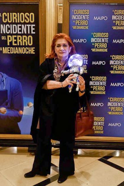 Teresa González Fernández, presidente de ALPI