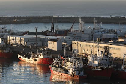 Terminal de carga y descarga de containers en el puerto de Mar del Plata.