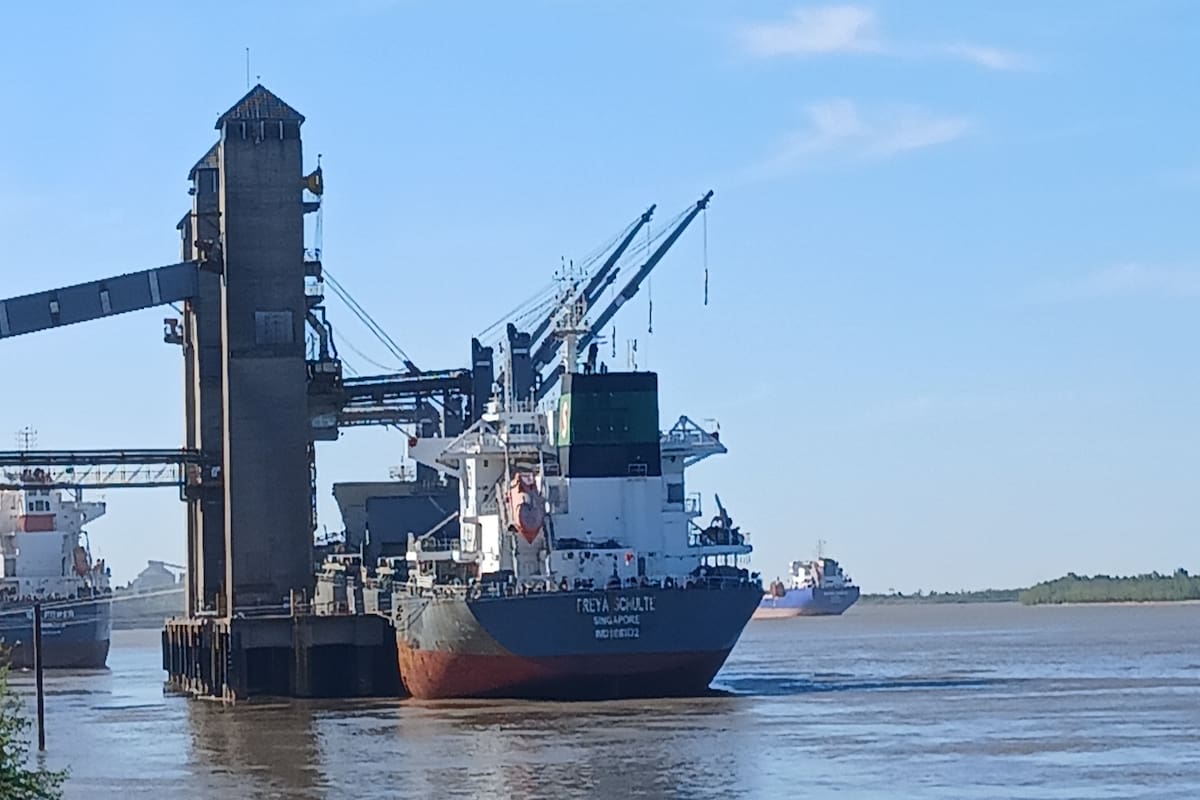 Terminal portuaria de granos sobre el río Paraná