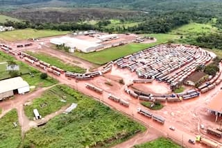 Brasil consolida su liderazgo en soja, gana terreno en harina y podría desplazar a la Argentina de un codiciado lugar