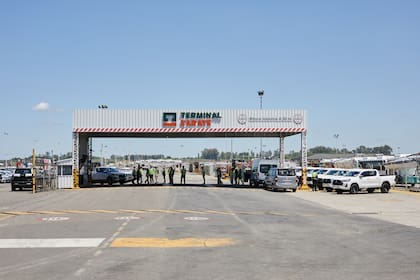 Terminal Zárate recibe unas 300 unidades de la marca japonesa por día