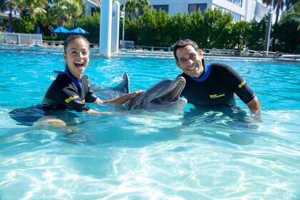 Terra Group, una empresa desarrolladora, tomará el arrendamiento del Miami Seaquarium para transformar el sitio en un nuevo "acuario acreditado"