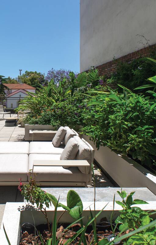 Terraza Alcorta, un oasis en medio de la ciudad.