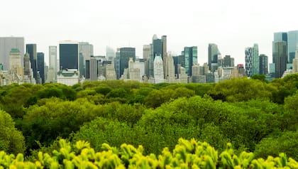 Terraza del MET. Nueva York.