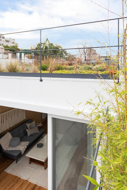 Terraza verde (60.40 Terraza Jardín) de 25 m2, armada con el sistema modular 60.40, piedra pómez partida, manto filtrante, sustrato orgánico y plantas herbáceas