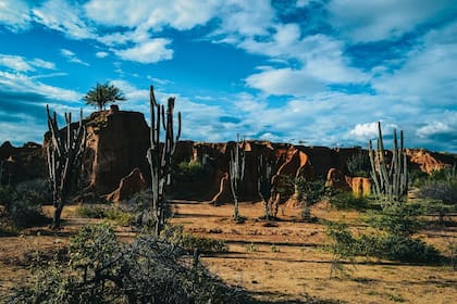 Terreno extenso con gran potencial ecológico y económico