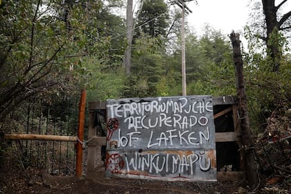 Terrenos usurpados por un grupo mapuche en Villa Mascardi