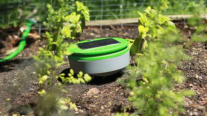 Tertill es un robot que detecta las malas hierbas y las quita del jardin