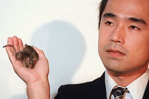 Teruhiko Wakayama presenta a Cumulina, la hembra que creó dos años antes que Fibro