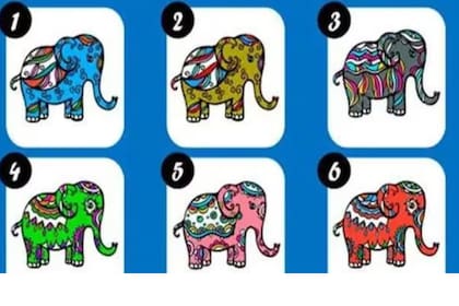 Test de personalidad: elegí un elefante y enterate cuál es tu meta para este 2024