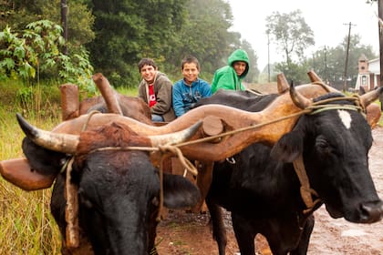 Por la Ruta Nacional 101, Misiones.