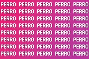 Test viral: encuentra la palabra escondida en menos de 9 segundos