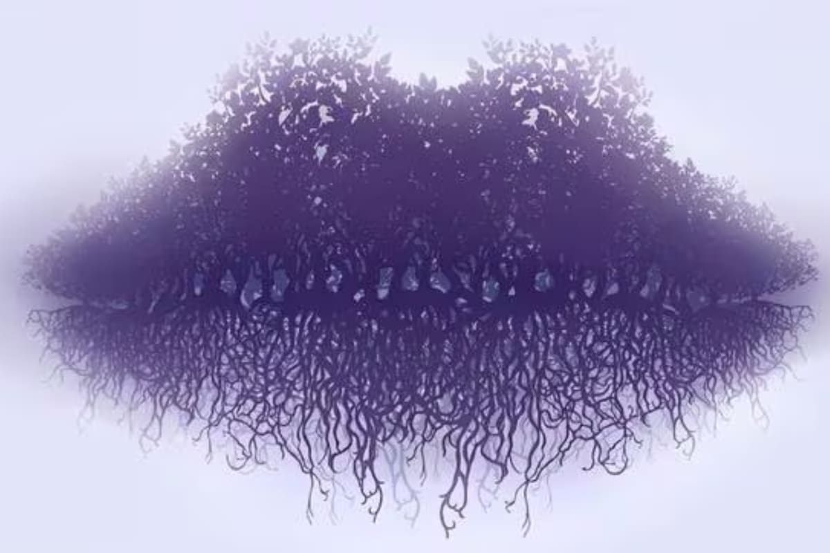 Test visual: la primera figura que ves te hará entender cuáles son tus proyecciones