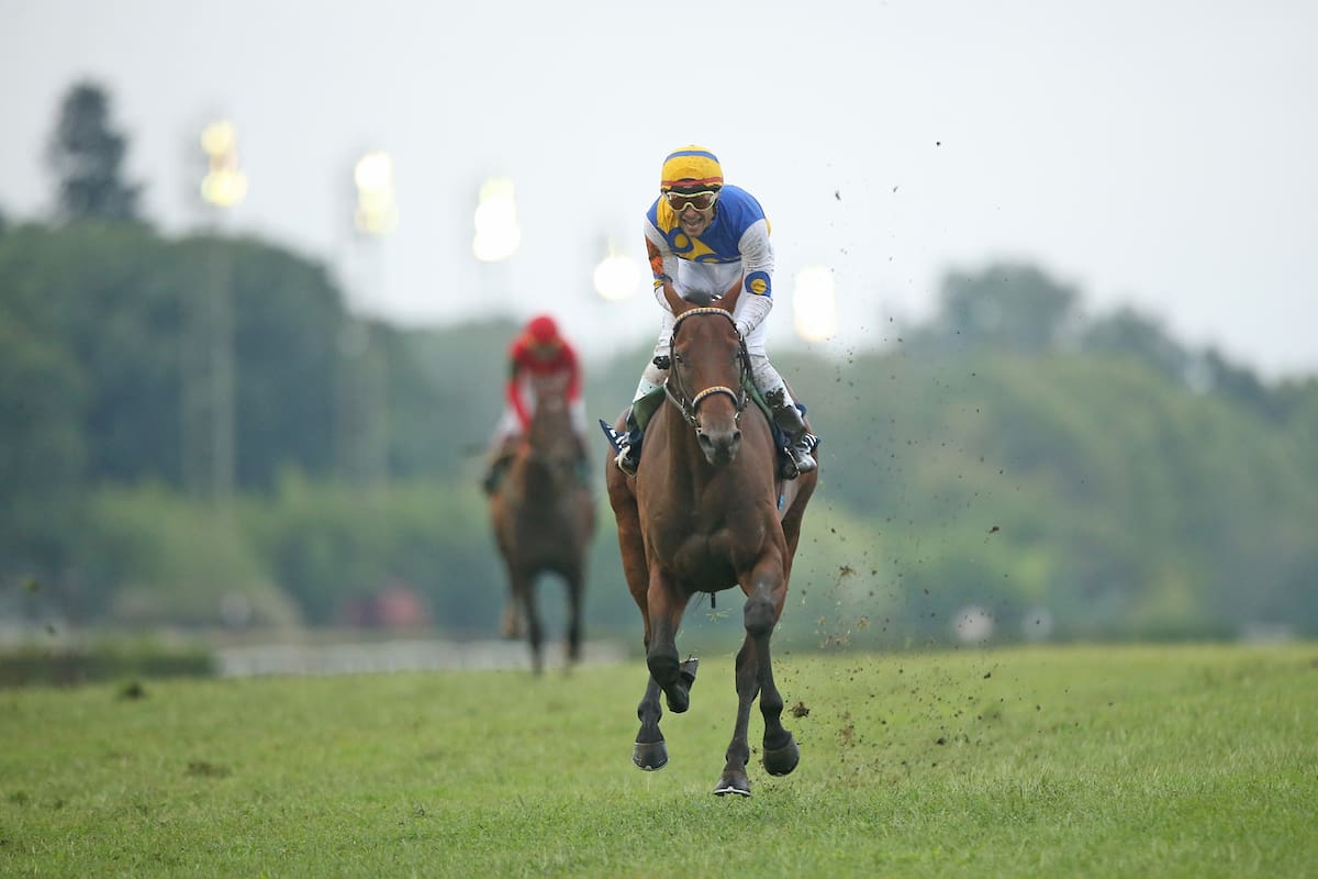 Tetaze buscó por adentro y se mantuvo ajeno a los conflictos entre Nao da Mais e Imperador, en el Latinoamericano