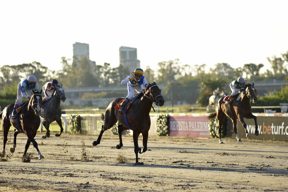 Tetaze (centro) se llevó el GP República Argentina (G1) en Palermo, por delante de Emotion Orpen (izquierda); el tordillo Strategos llegó cuarto.