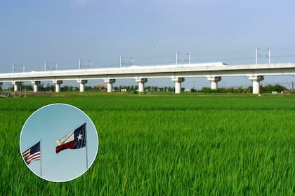 Texas Central planea usar el modelo japonés Shinkansen, que transporta hasta 1300 pasajeros por viaje