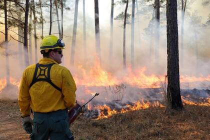 Buscan evitar que se vuelvan a producir incendios forestales y pérdida de la industria de Texas
