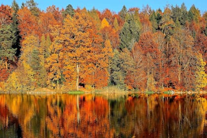 Texas recibirá el otoño a mediados de octubre (imagen ilustrativa)