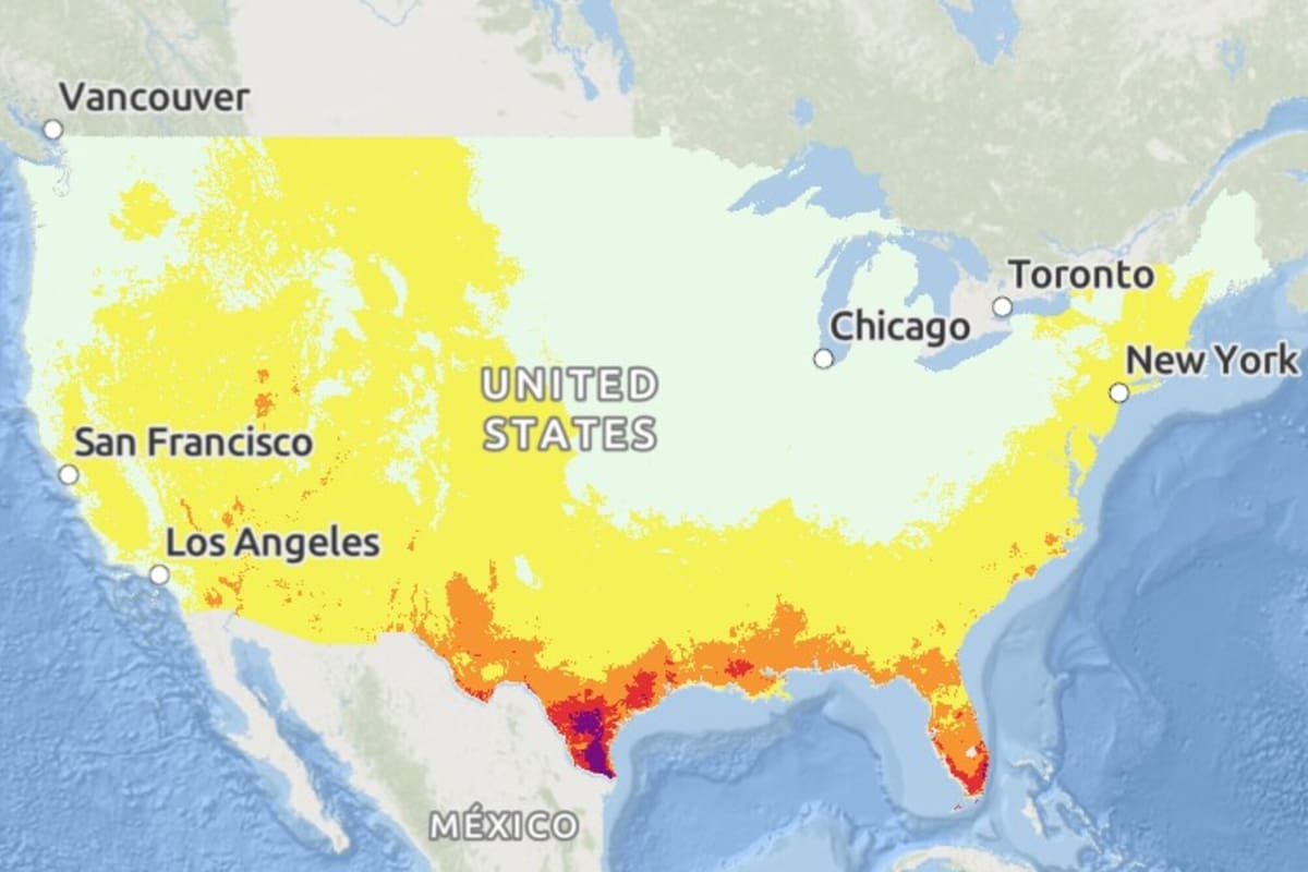 Texas y Florida figuran como los estados con mayor riesgo por calor extremo en EE.UU.