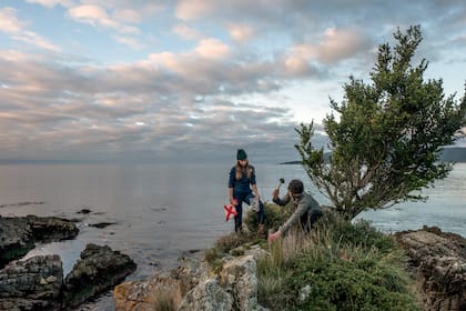 En el Parque Nacional Alerce Costero, de Chile, Kiers y Merlin Sheldrake toman muestras de suelo