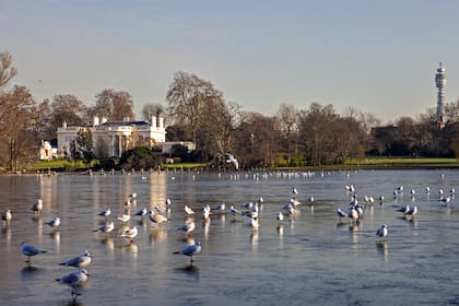 The Holme tiene 205 años.