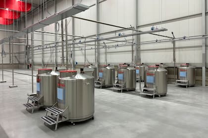 Thermo Fisher Scientific announces the opening of a new site in the Netherlands specializing in ambient to cryogenic storage, clinical and commercial packaging, labeling, and distribution, and clinical QP release services (Photo: Business Wire)