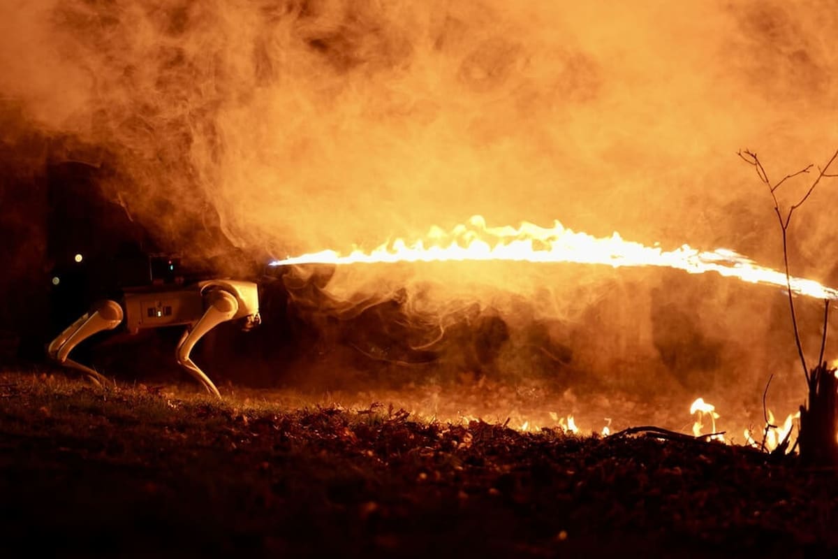 Thermonator es un perro robot equipado con un lanzallamas; tiene un precio de casi 10.000 dólares y puede lanzar el fuego a 10 metros de distancia; el robot tiene una hora de autonomía y se puede gestionar en forma remota