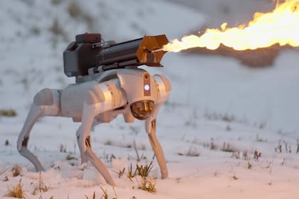 Thermonator es un perro robot equipado con un lanzallamas; tiene un precio de casi 10.000 dólares y puede lanzar el fuego a 10 metros de distancia; el robot tiene una hora de autonomía y se puede gestionar en forma remota