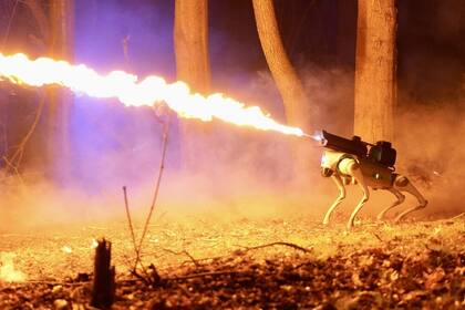 Thermonator es un perro robot equipado con un lanzallamas; tiene un precio de casi 10.000 dólares y puede lanzar el fuego a 10 metros de distancia; el robot tiene una hora de autonomía y se puede gestionar en forma remota