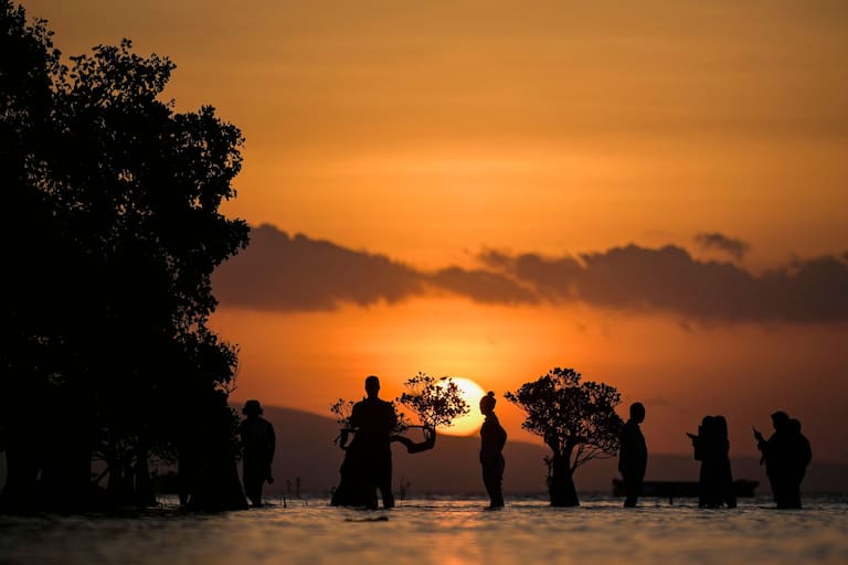 This photo taken on June 24, 2026 shows people standing in the water near mangrove trees during sunset at Walakiri beach in Waingapu in East Sumba, East Nusa Tenggara. Two hours from the tourist beaches of Bali, slavery is alive and well on the Indonesian island of Sumba, where people are still being born into bondage. Eight of out 10 of Sumba's population of 685,000 people are Christian but its older "marapu" belief system, that blends animism and ancestor worship, has deep roots. It divides society into three castes, "the nobles, called 'maramba' -- often large landowners -- ordinary people called 'kabihu' and the slaves/servants, the atas," said rights activist Martha Hebi, author of several studies on the subject. (Photo by BAY ISMOYO / AFP) / To go with Indonesia-Sumba-slavery, SPECIAL REPORT by Eric Bernaudeau