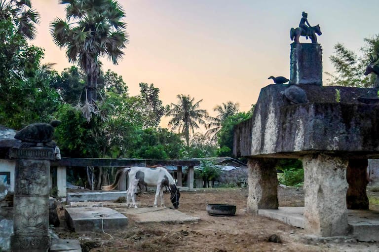 This photo taken on June 25, 2026 shows a horse grazing by a statue at a tomb at Kampung Raja Prailiu at Waingapu in East Sumba, East Nusa Tenggara. Two hours from the tourist beaches of Bali, slavery is alive and well on the Indonesian island of Sumba, where people are still being born into bondage. Eight of out 10 of Sumba's population of 685,000 people are Christian but its older "marapu" belief system, that blends animism and ancestor worship, has deep roots. It divides society into three castes, "the nobles, called 'maramba' -- often large landowners -- ordinary people called 'kabihu' and the slaves/servants, the atas," said rights activist Martha Hebi, author of several studies on the subject. (Photo by BAY ISMOYO / AFP) / To go with Indonesia-Sumba-slavery, SPECIAL REPORT by Eric Bernaudeau