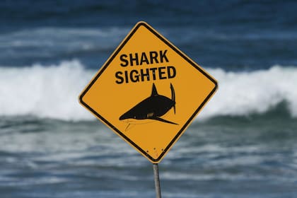 Tiburón mata a una mujer e hiere gravemente a otro nadador en playa de Australia