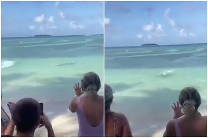 Tiburón se acerca a metros de una playa en Colombia