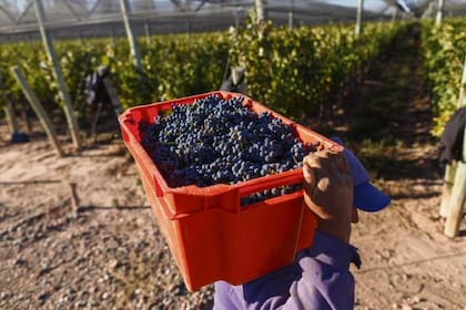 Tiempos de cambio en el trabajo rural