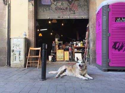 Tienda de objetos usados en el Raval.
