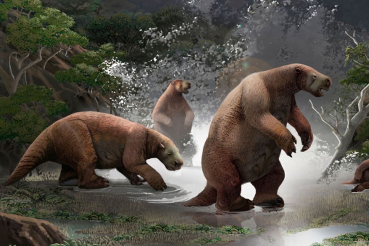 Tiene más de 10 mil años y lo encontró un equipo de paleontólogos argentinos y ecuatorianos.