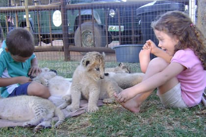 Tiene un hermano mellizo y a los 4 años se instaló junto con su familia en África.