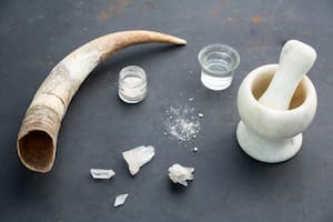 Tienen como objetivo sanar la tierra a través de organismos conectados con las influencias cósmicas