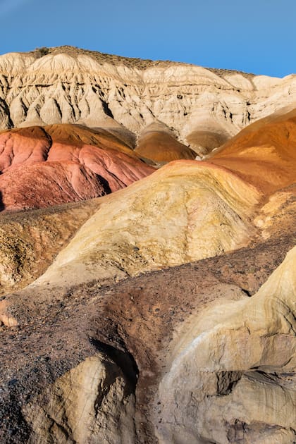 Tierra de Colores, Santa Cruz.
