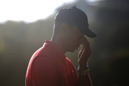 Tiger Woods