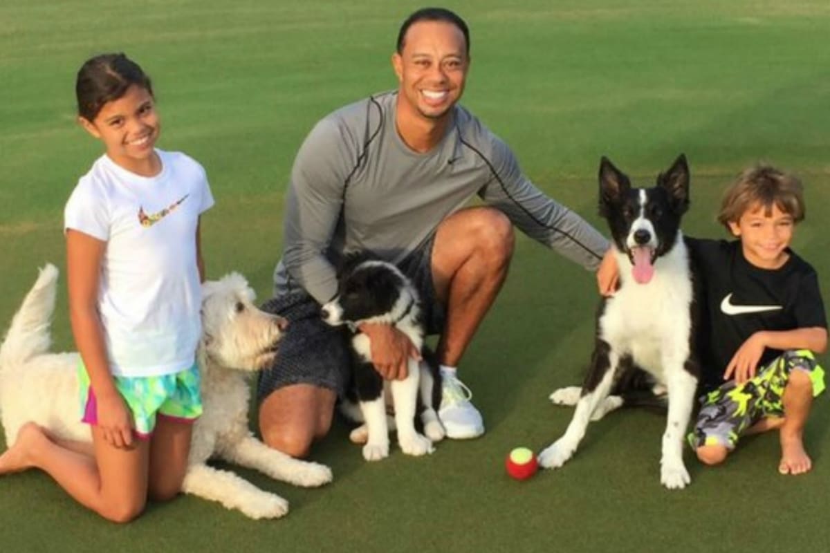 Tiger de entrecasa, con sus hijos Sam y Charlie