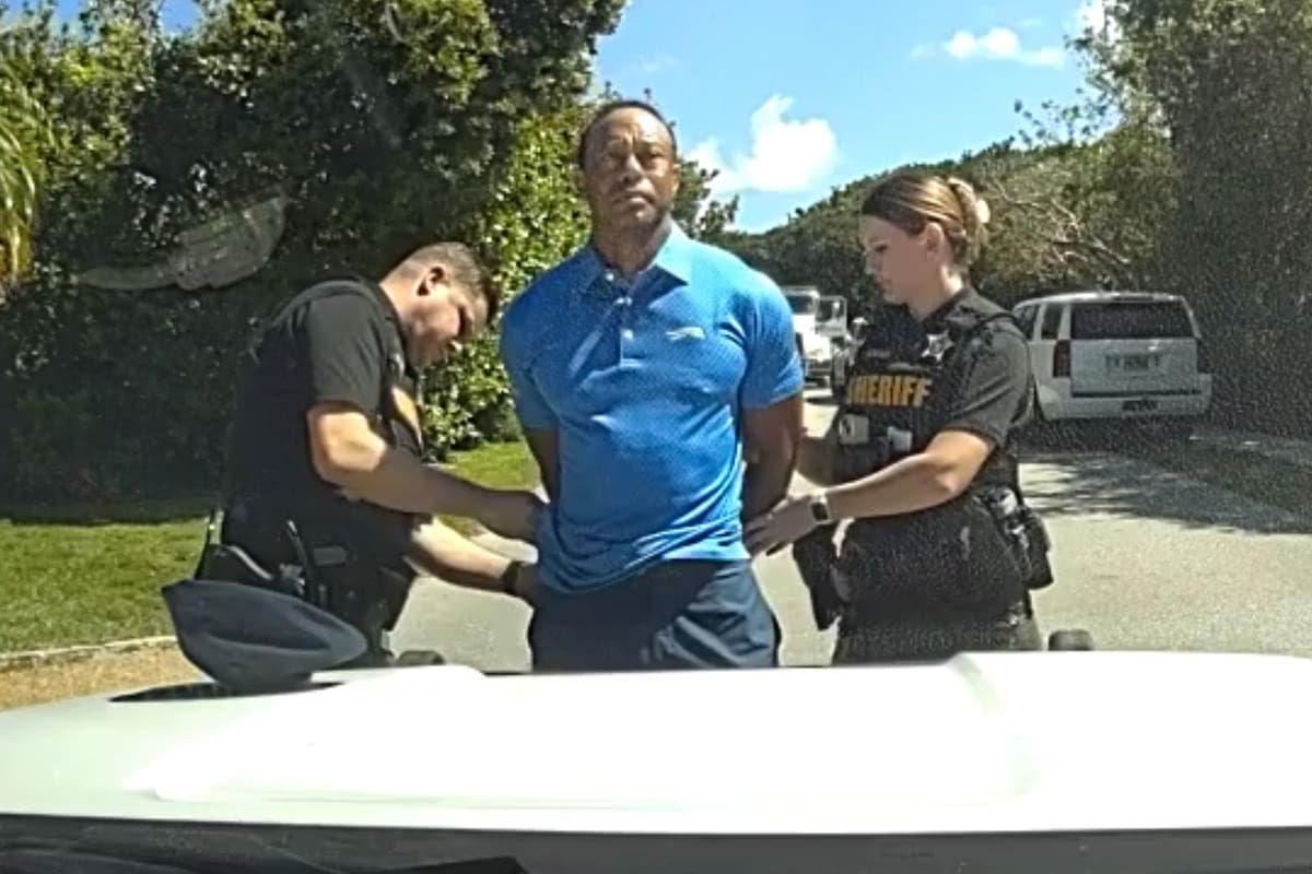 Tiger Woods se declaró culpable por un accidente automovilístico que protagonizó en Florida.