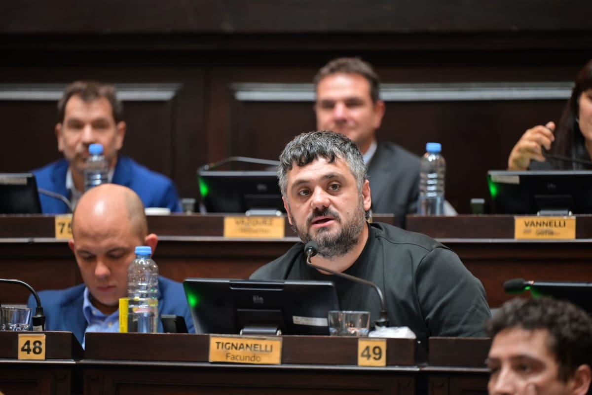 Tignanelli, en la sesión del jueves en la Cámara de Diputados bonaerense