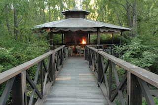 48 horas enTigre: la escapada natural más cercana a Buenos Aires