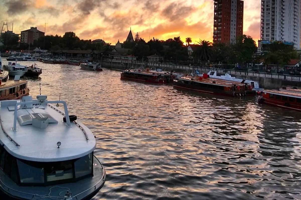 Tigre fue uno de los lugares elegidos por la Inteligencia Artificial