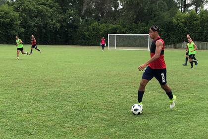 Tigre perdió ante Fénix
